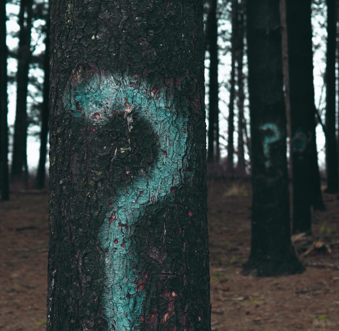 forest trees marked with question marks