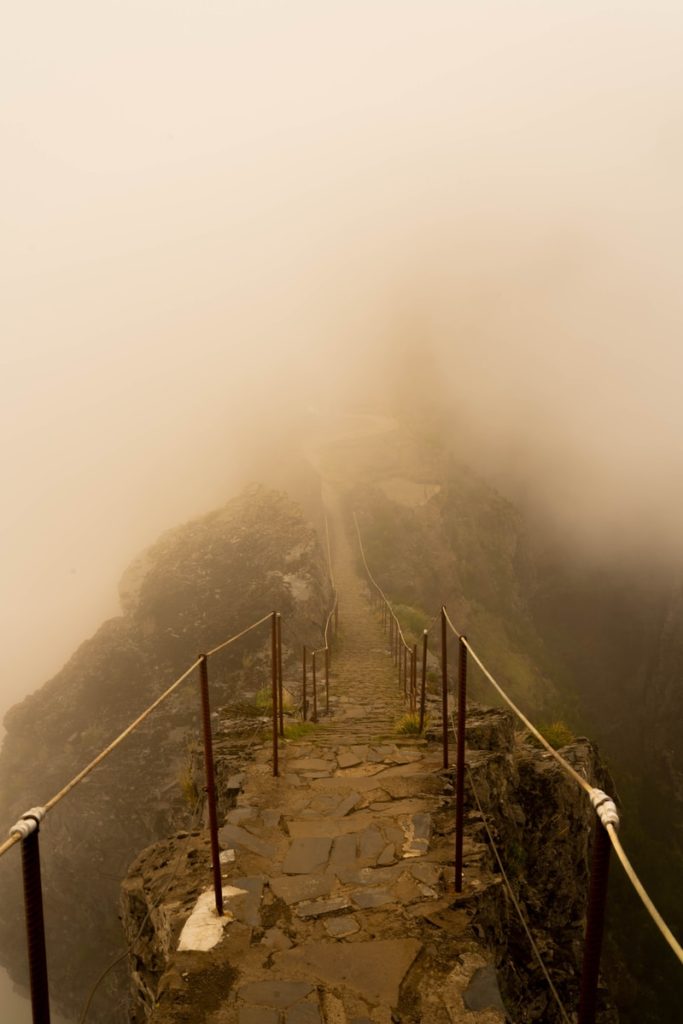 grayscale photo of bridge on mountain